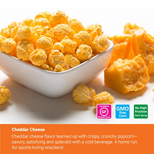Popcornopolis Popcorn 12 Cone Snack Pack Including Zebra, Cheddar Cheese, Caramel and Kettle Corn, Metallic