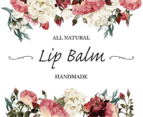 ZZYBIA ƐXLPAi SxXebJ[ bvN[e`[up (NArj[ - O)