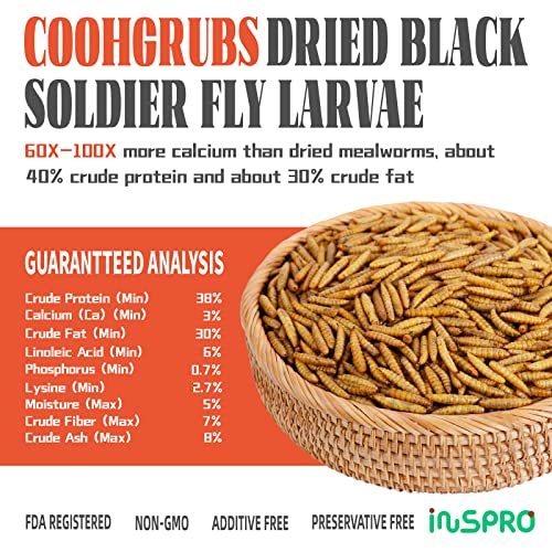 COOHGRUBS Premium Grade Dried Black Soldier Fly Larvae for Chickens and Other Poultry 5 lb. Box - Image 3