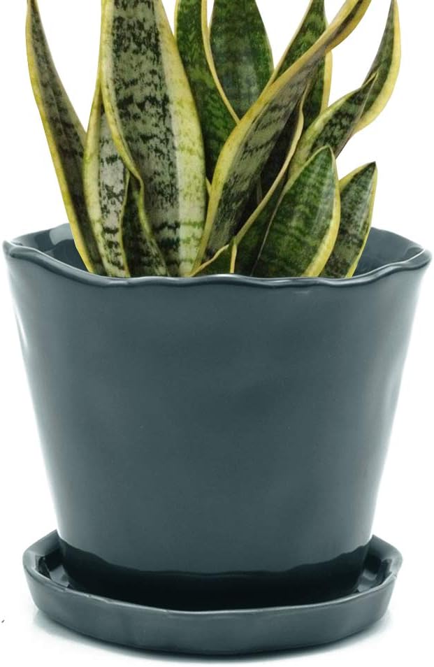 Chive ‘Tika’ Ceramic Planter Pot — Cute, Beautiful Plant Pots for Indoor & Outdoor Flowers & House Plants — Large (8" x 7.5") — Spruce Green