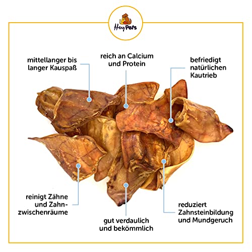Hey Pets Schweineohren für Hunde & Welpen, Beste Hunde Leckerlis, Ideale Zahnreinigung, 100% natürlich, getreidefrei, Kauartikel, Kausnack (Beutel mit 10 Stück)