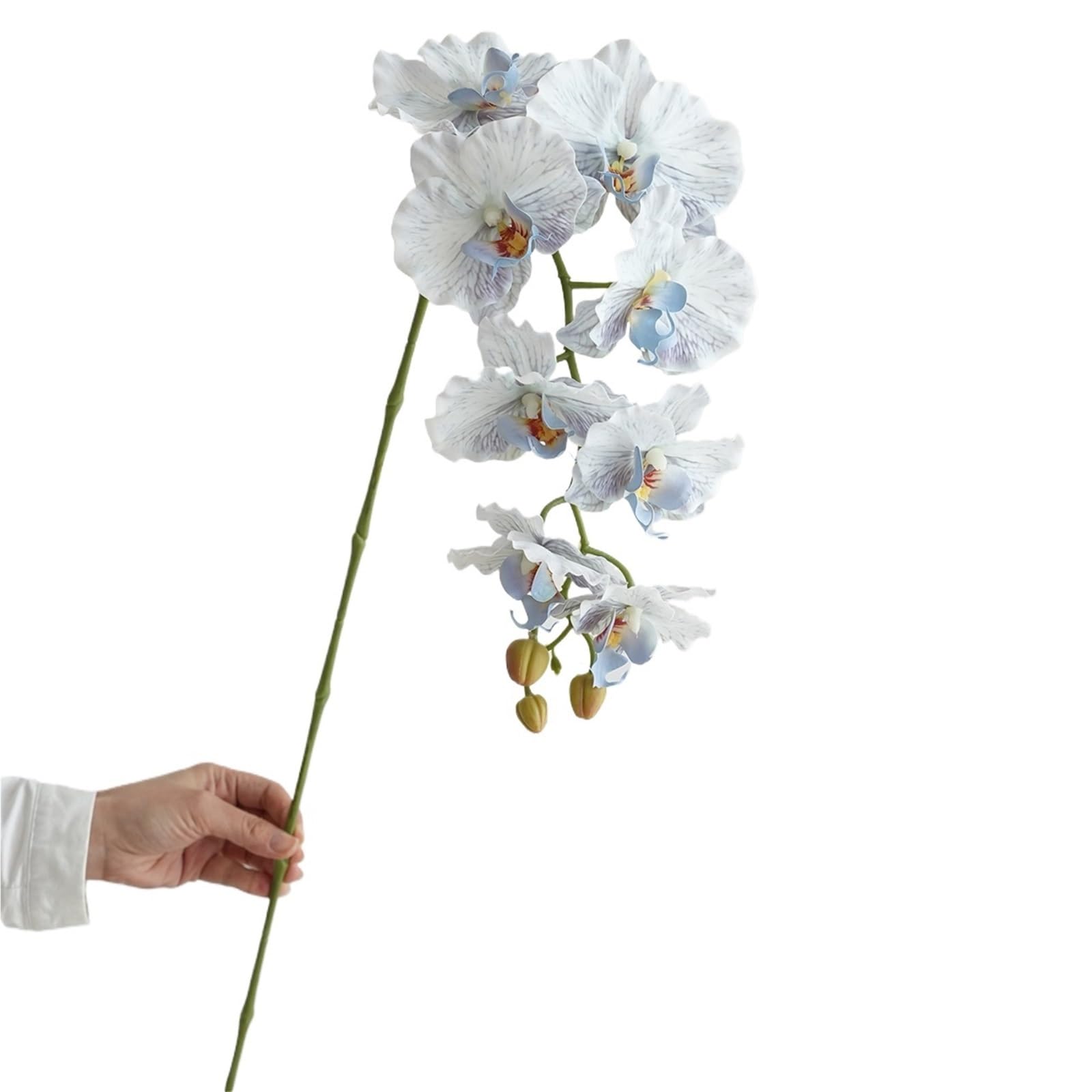 FonHNDG Artificial Flower Branches Artificial Phalaenopsis Orchid Flowers Wedding Decorative Realistic Long Stems 9 Heads Home Indoor Decor(Color6)