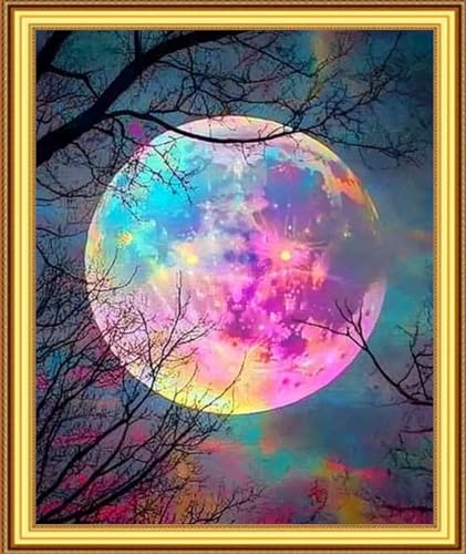 Image of Foxnyart Stamped Cross Stitch Kits Full Range of Embroidery Needlework Starter Kits for Beginners Adults 11CT Embroidery Patterns Art Crafts DIY Needlepoint Kit-Abstract Moon 16x20 inchs