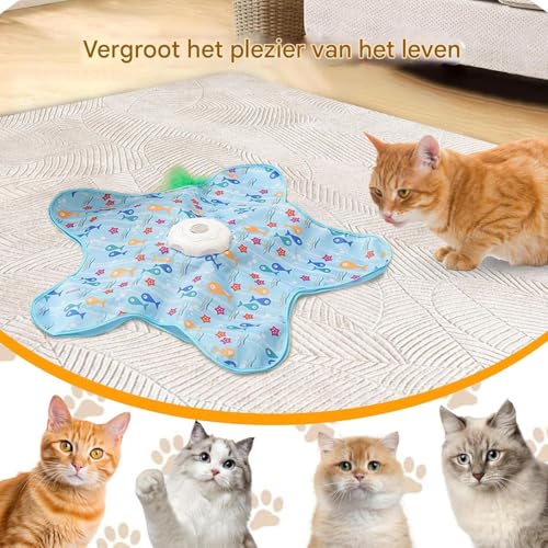 Jouet interactif pour chats : la solution contre l'ennui et le stress