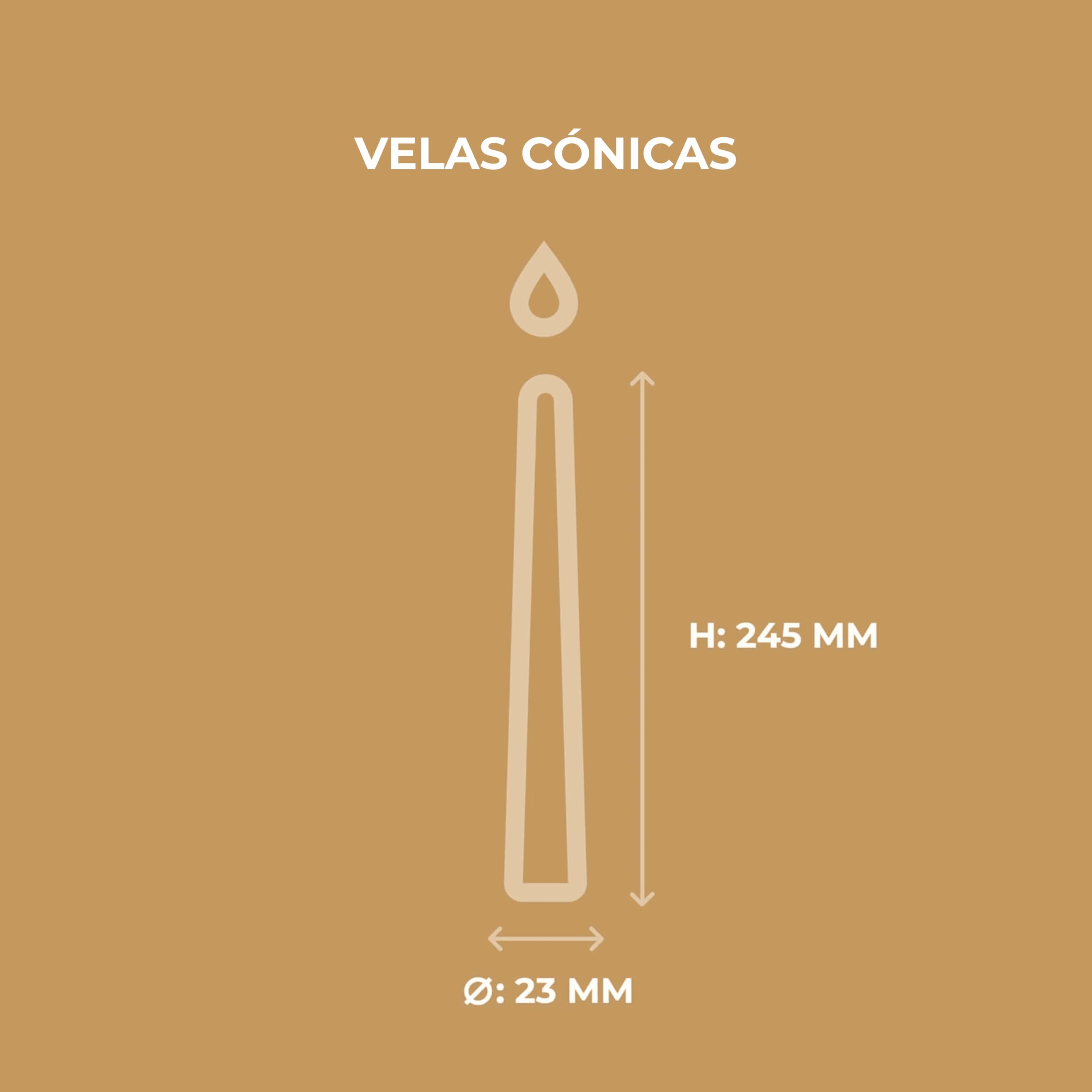 Horeca Candles - Velas Cónicas - Marfil - 50 Unidades - Ø 2.3 x 25 cm - Larga Duración 7,5 Horas - Sin Perfume - Velas decorativas para el Hogar, Bodas y Eventos