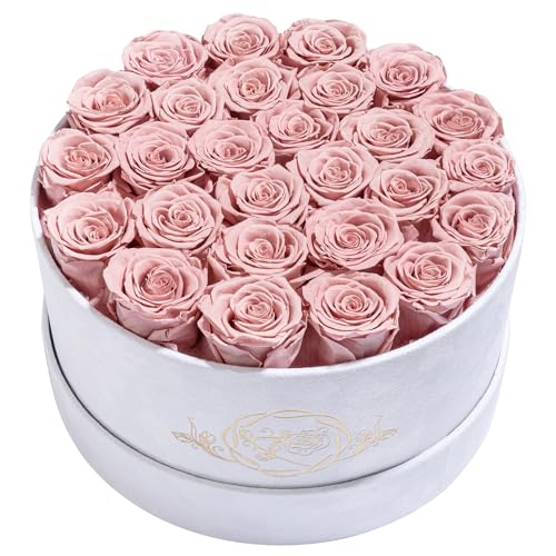 27 Flowers in a Luxury Suede Box, Birthday Gifts for Women, Preserved Flowers, Mothers Day Roses Gift for Mom, Dusty Rose
