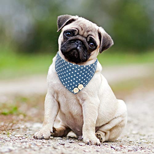 Image of EXPAWLORER Dog Collar and Leash Set - Classic Polka Dots Bow Tie & Bandana Collar with Bell, Tangle-Free Leash, Adjustable for Small to Large Dogs & Cats