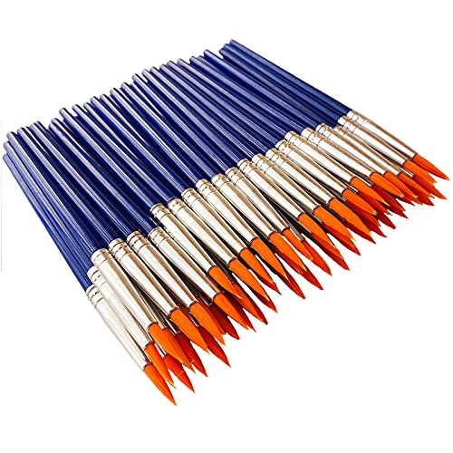 JOJODO 60 Pcs Pointed Round Brushes Set, Small Brush for Classroom Starter/Kids/Students,Short Plastic Handle Nylon Hair Detail PaintBrushes for Art...