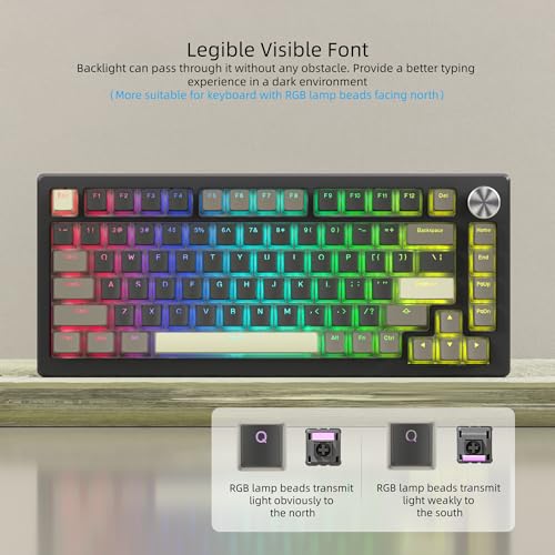 Image of Womier PBT Shine Through Keycaps for Mechanical Keyboard, Pudding Keycaps | Keycaps 60% 75% 100% Keyboard 143 Keys,Custom Keycap Set OEM Profile for Gateron Cherry MX Switches,Grey Brown-Only Key caps