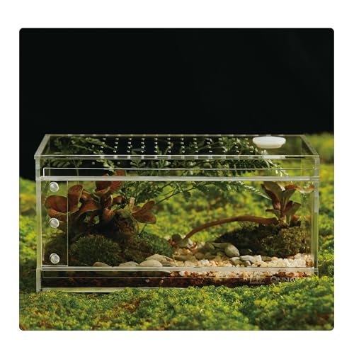 Acrylic Terrarium for Reptiles & Spiders – Small/Medium/Large Leak-Proof Enclosure (Horizontal/Vertical) | Ideal for Tarantulas, Jumping Spiders, Frogs & Geckos(Small, Horizontal)