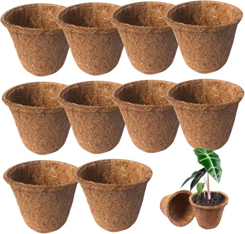 Yeehliny Anzuchttöpfe aus Kokosfaser, Biologisch Abbaubar Kokosanzucht Kokostöpfe Aussaattöpfe Pflanztopf Saattopf Pflanzenanzucht Startertöpfe Pflanzschalen Kokosscheiben im Topf (8cm/ 10PCS)