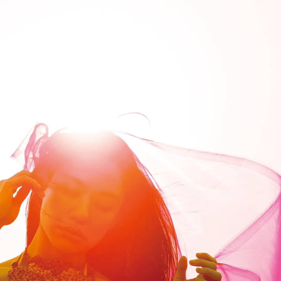 新品未使用☆受注生産☆Awich ファングラブ限定 THE UNION DVD 新品未使用☆受注生産☆Awich ファングラブ限定 THE UNION DVD