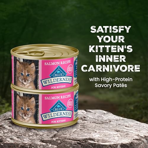Image of Blue Buffalo Wilderness Kitten Grain-Free Salmon Pate Wet Cat Food with DHA, High-Protein & Made with Natural Ingredients, Supports Healthy Growth & Development, 3-oz. Cans (24 Count)