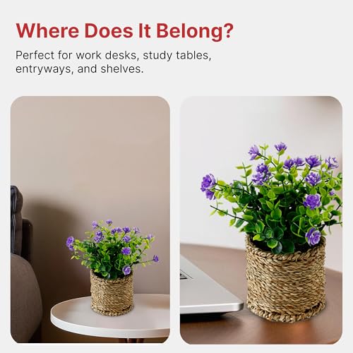 Image of The Better Home Artificial Plants for Decoration with Pot | Faux Greenery Artificial Plant (12 Inch, Pack of 2, Green) | Home Decor for Living Room | Small Artificial Plant with Pot