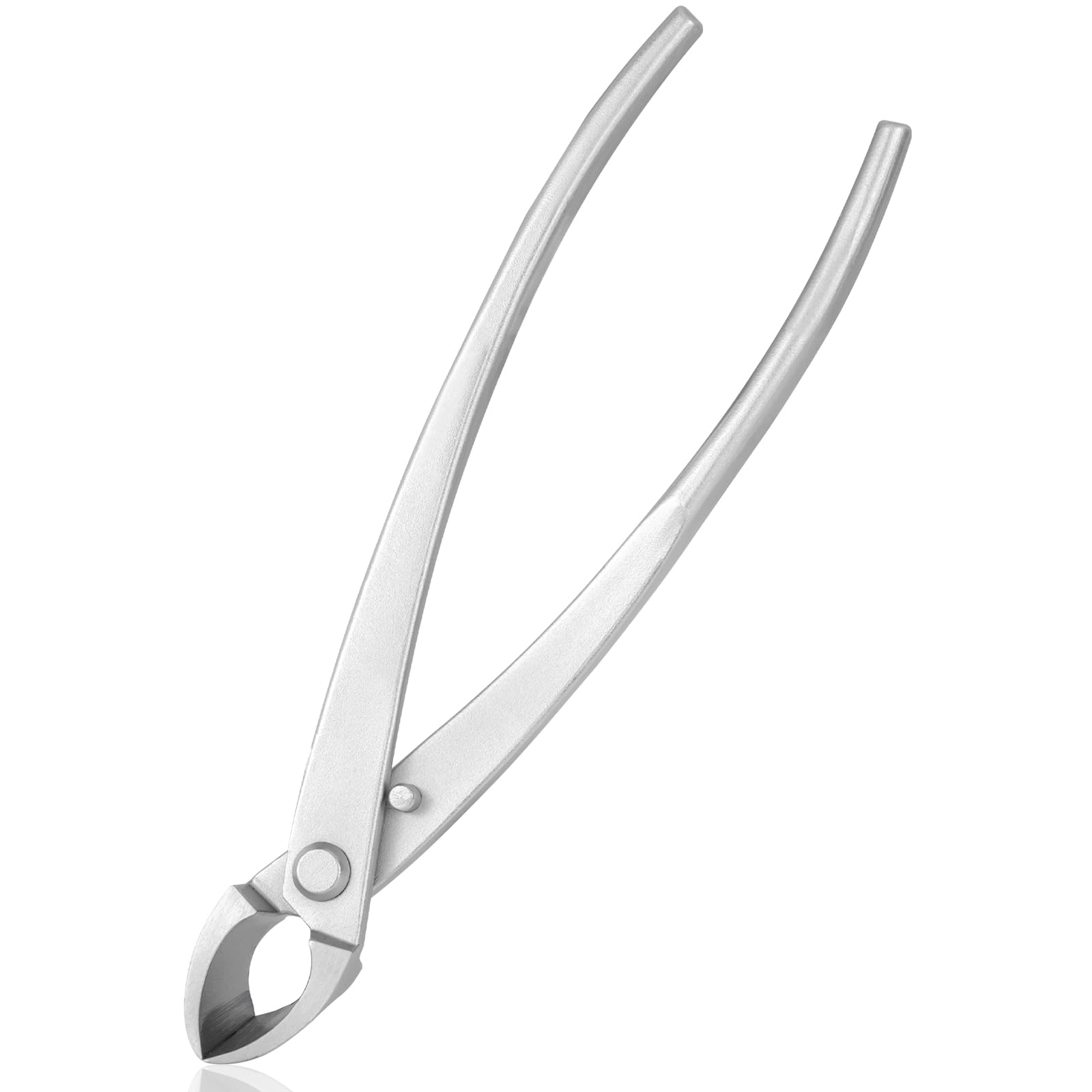 8 inch Concave Cutter, Stainless Steel Cutter for Bonsai & Gardening Pruning, Supplied By Jevie (Circular)