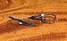 Cottarelli Hackle Pliers