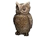 Produktbild Riesige schöne aufwendig gearbeitete Eulenfigur NF87134 Der Hingucker in Ihrem Garten, 44 cm hoch, Aufwendig gearbeitet und von Hand bemalt, Gartenfigur, Deko