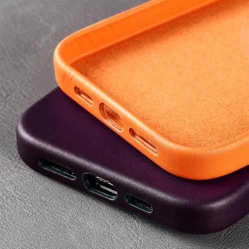 Housse de chargement magnétique iPhone 13 Pro Max coque cuir vert clair