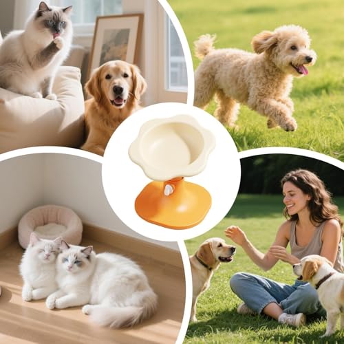 Gamelles pour chiots adaptables pour stopper les douleurs cervicales - 5