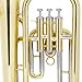 Mendini by Cecilio Euphonium, Lacquer Brass B Flat Euphonium with Tuner, 3 Stainless Steel Pistons, Mouthpiece, Hard Case, Polishing Cloth and Gloves (Gold)