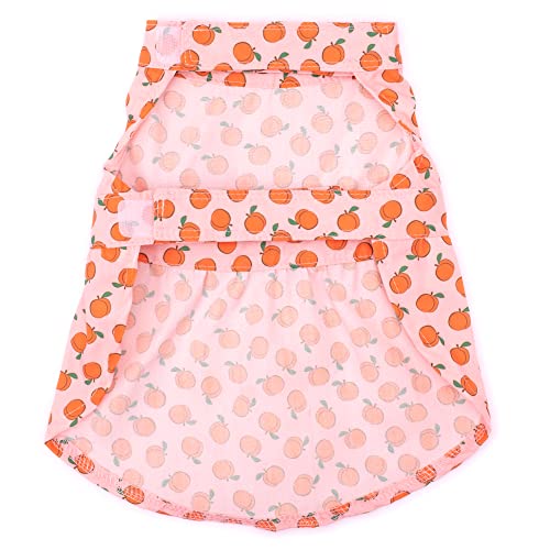 Vestido para perro The Worthy Dog tamaño X-Small miniatura 2