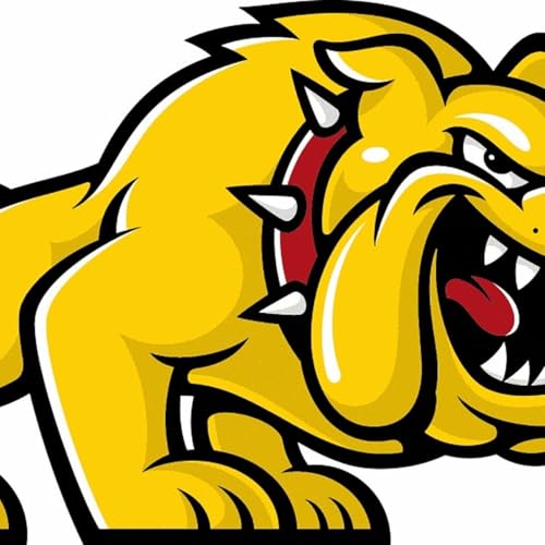 Batavia baseball surges back to tie series against St. Charles North: Tuesday&rsquo;s KCC sports roundup