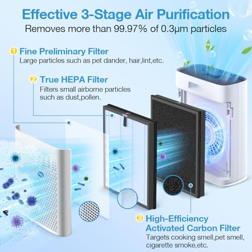 Image of 2 Pack HAP603 Replacement Filter Compatible with ECOSELF HAP603 / HAP603WF Air Purifier, Air Purifiers Replacement Filter for Home Large Room, # RFHAP603 2P BLU, Blue