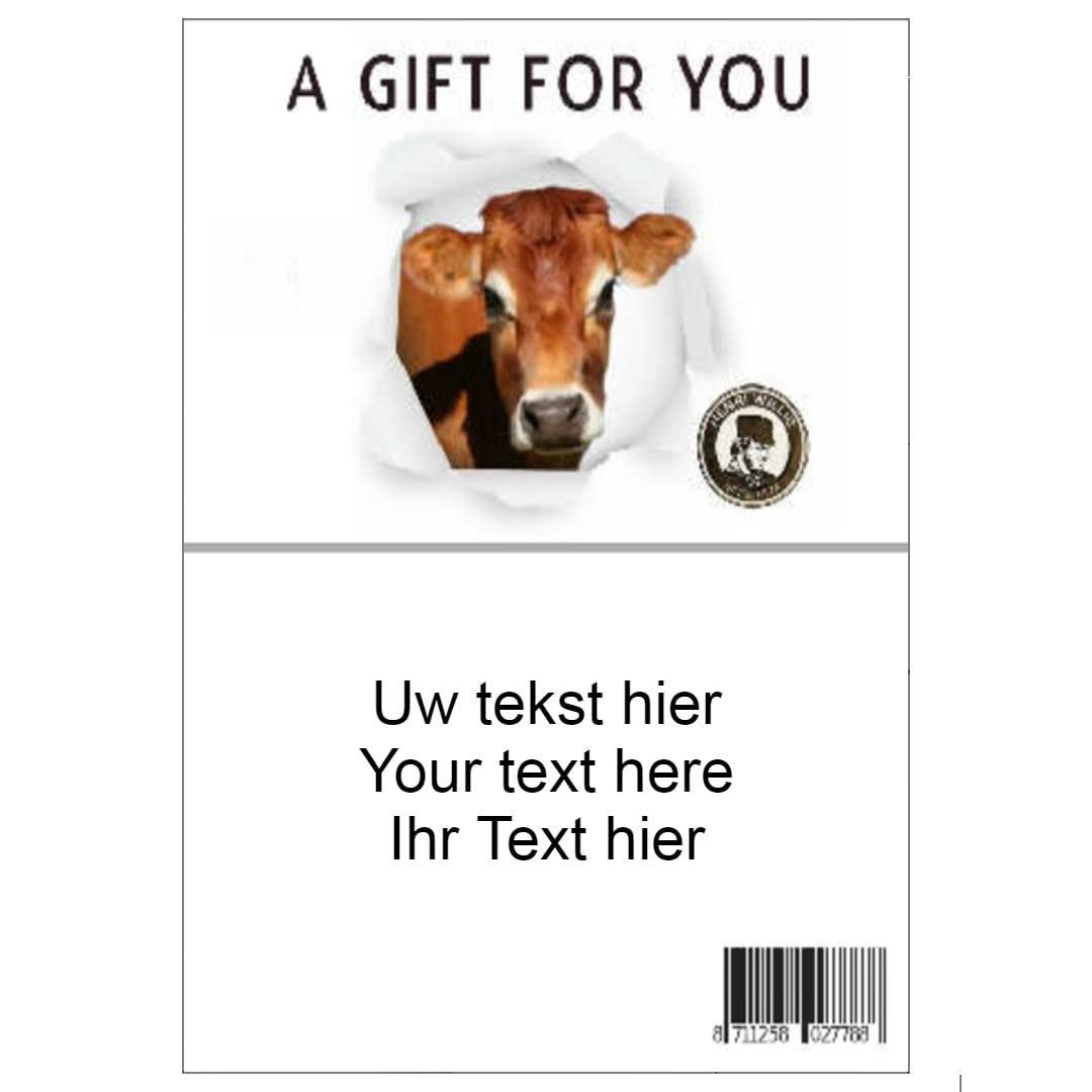 Henri Willig Holländisches Käsepaket mit geräuchertem Käse und Dips
