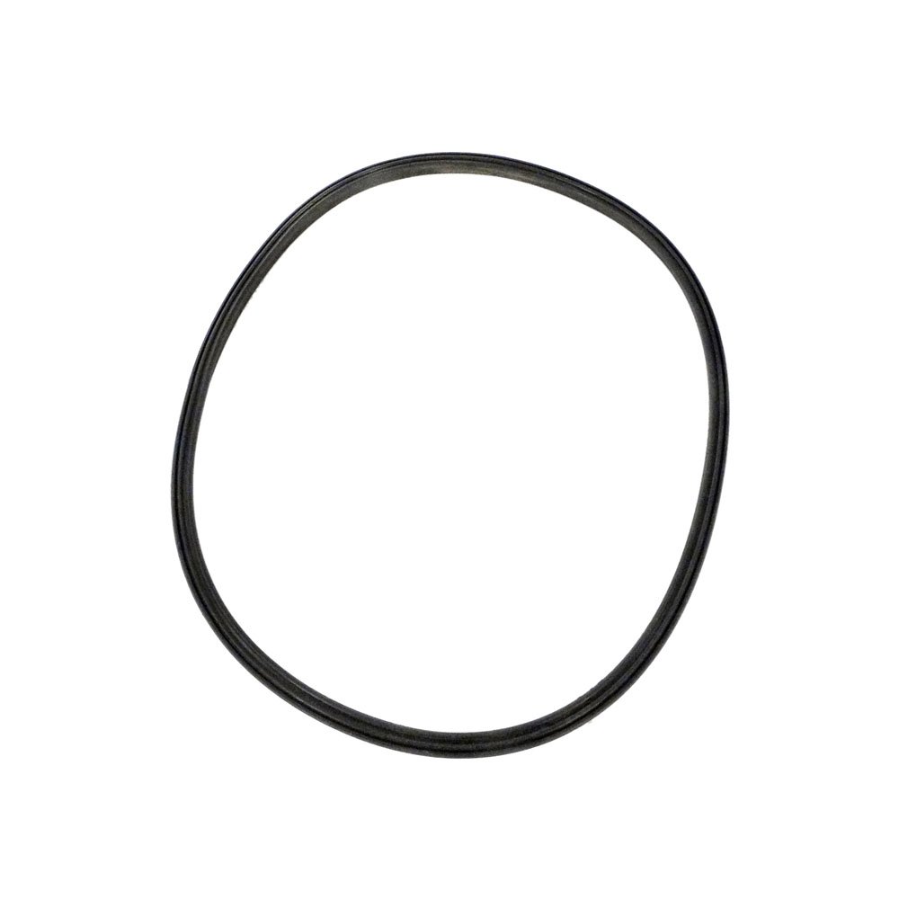 Puri TechO-Ring Replacement for Hayward Northstar Pool Pump SPX4000TS