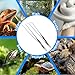 FSDIYU 2 Pcs Reptile Feeding Tongs, 10.6IN Straight & Curved Extra Long Tweezers, Premium Stainless Steel Feeding Tools for Bearded Dragon, Lizards, Snakes, Aquarium & Terrarium