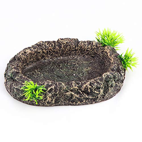 AQUA KT Amphibian Reptile Snake Worm Dish Water Food Bowl for Lizard Turtle Bearded Dragon Tank Accessory Terrarium… - Image 8