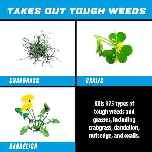 Image of Ortho GroundClear Super Weed & Grass Killer1 with Comfort Wand - Ready-to-Use Weed Killer Spray, Continuous Spray, Results in Hours, 0.5 gal.