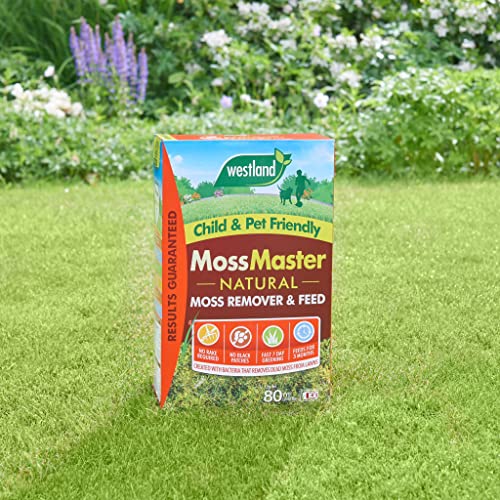 Westland Moss Master Box 80m2 Box - Image 2