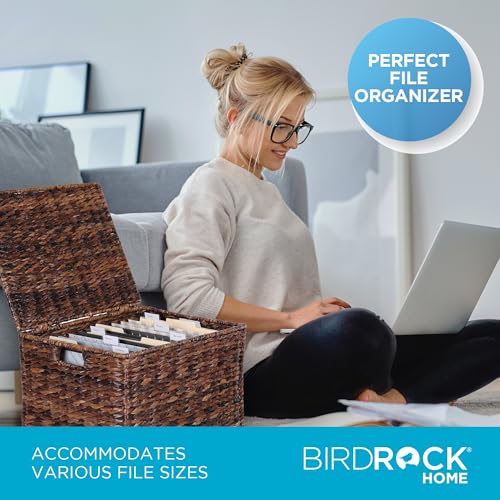 BIRDROCK HOME Seagrass Rolling File Cabinet - Storage Organizer Box with Lid - Home Office Decor - Decorative Organize - Letter Legal Hanging Filing Container - Strong Durable Toy Pillow - Espresso