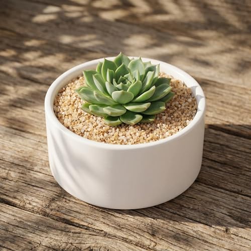 Sable cristallin poreux pour succulentes et gravier aménagement extérieur multi-usage