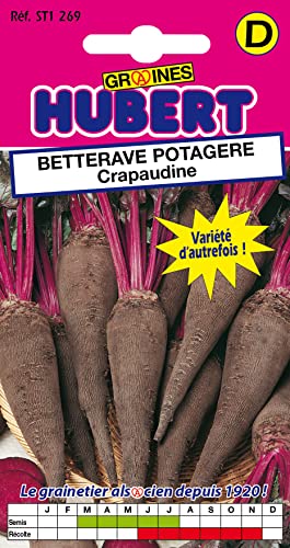 Graines de Betterave Potagere Crapaudine - 4 grammes