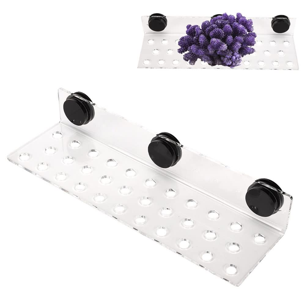 Coral Rack Acuario de acrílico magnético Coral Frag Rack Soporte Base Transparente Tanque de peces Coral Frag Holder Soporte(32 Hole)