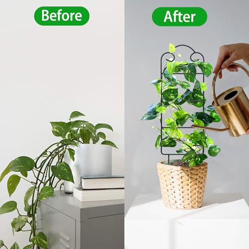 Image of 16 Inch Plant Trellis Indoor for Potted Plants 4 Pack Indoor Plant Trellis for Climbing Plants Houseplant Trellis Metal Garden Pot Trellis for Vine Ivy Support(16inch Black)