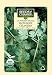 Seeds of Change Certified Organic Santo Cilantro Slow Bolt, 200 Seed Count