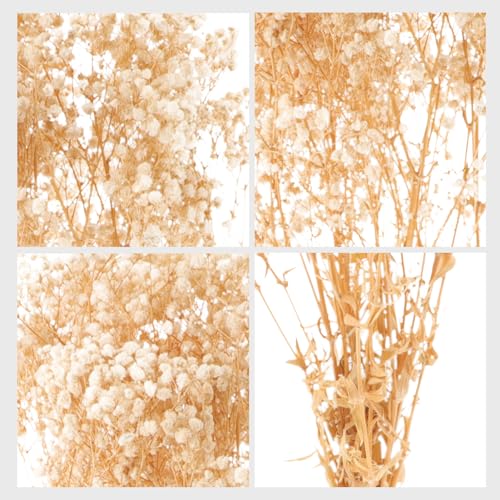 Ramo de flores secas artificiales Soplo de bebé beige miniatura 2