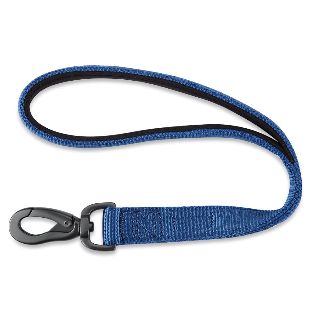 Correa Corta Azul for Perros, Correa de Nailon for Entrenamiento Paseo, Acolchada for Grandes y medianos