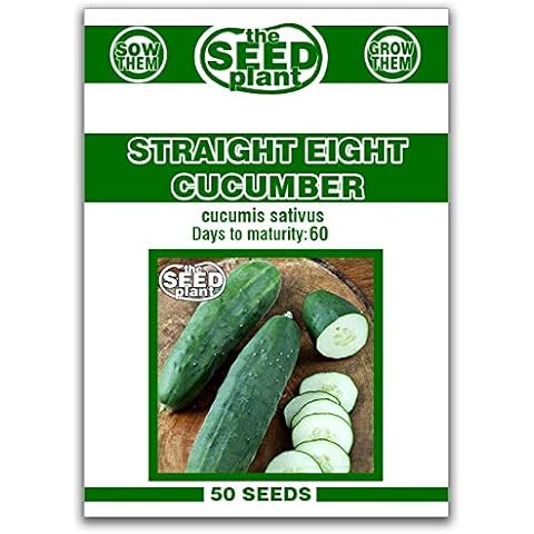 Straight Eight Cucumber Seeds - 50 Seeds Non-GMO Cover