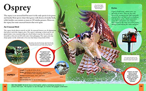 Children's Encyclopedia of Birds (Arcturus Children's Reference Library, 9) - Image 4