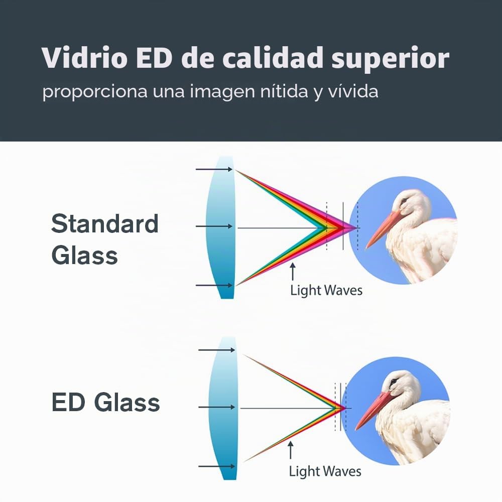 Celestron 72336 Nature DX ED 12x50: prismáticos con lentes objetivo con dispersión baja, exteriores y aves, revestimiento múltiple completo y prismas BaK-4, carcasa revestida resistente al agua y vaho