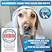 BluePet Mildes Hundeshampoo Gegen Juckreiz, Gerüche & Schmutz 200ml - Rückfettend & pH-Neutral - Für alle Hunderassen, Langhaar & Weißes Fell + Mit Aloe Vera & Jojobaöl
