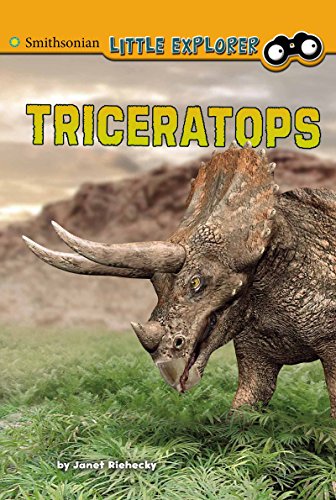 Triceratops (Little Paleontologist) Triceratops (Little Paleontologist)