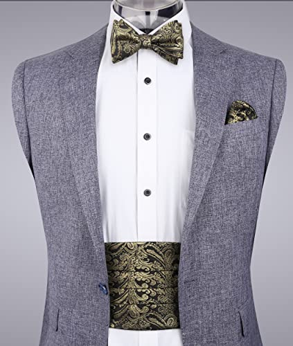 Image of Alizeal Mens Paisley Adjustable Bow Tie Set