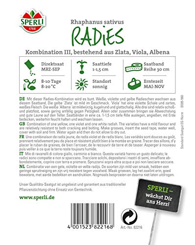 Radieschen Kombination 3 | Zlata, Viola, Albena | 5m Saatband für rund 250 Radieschen Samen - Image 3