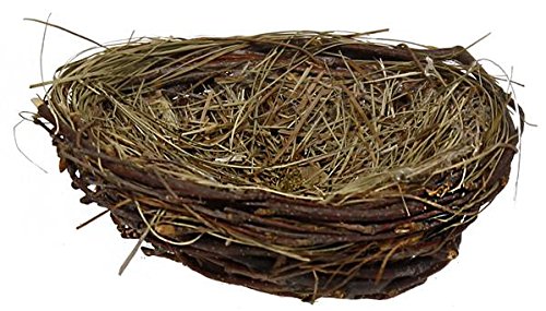 BD Crafts 4'' Bird nest - Made of Grass twig and Birch