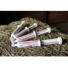 Breathe O'2 4 -Pack (8 doses) Pre-Race Paste to Support Lung/Airway Function in Horses